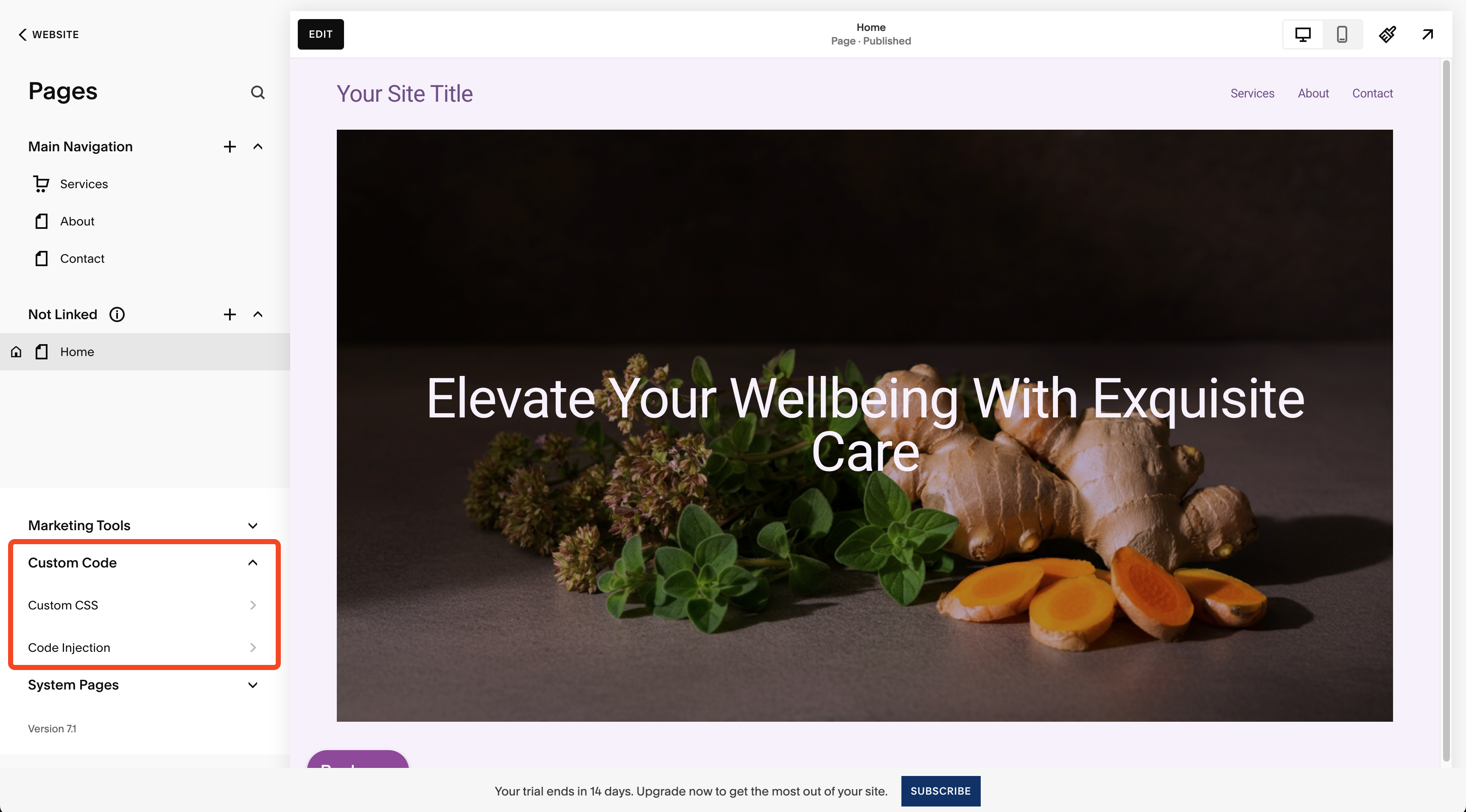 SquareSpace Custom Code Injection