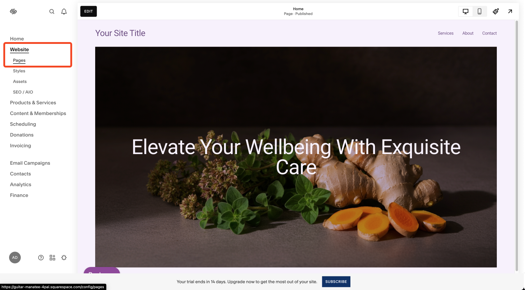 SquareSpace Pages